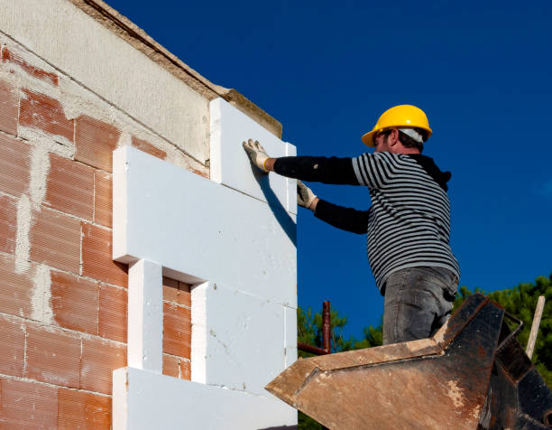 Professional Insulation Contractor in Conehatta, MS
