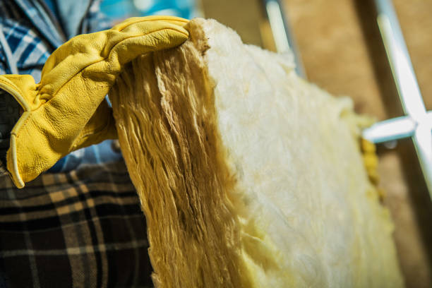 Best Blown-in Insulation in Conehatta, MS