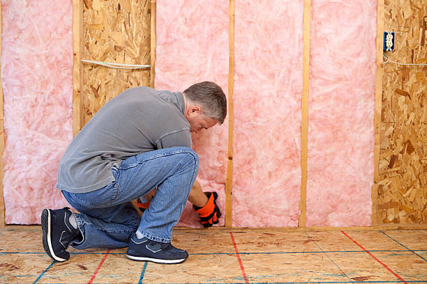 Best Commercial Insulation in Conehatta, MS