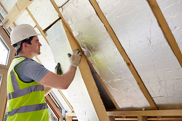 Types of Insulation We Offer in Conehatta, MS