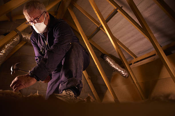 Best Energy Efficiency Insulation in Conehatta, MS