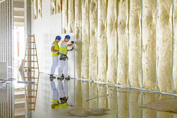 Types of Insulation We Offer in Conehatta, MS